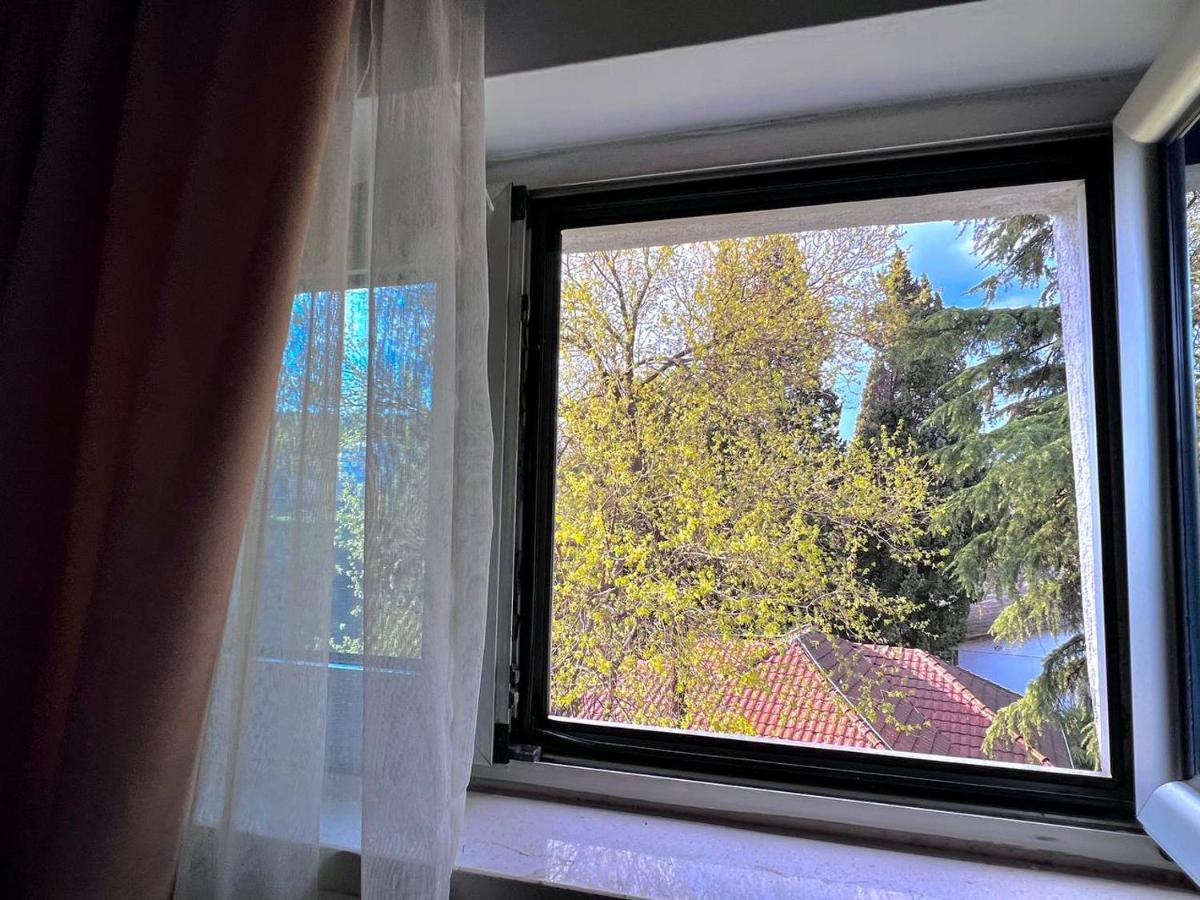 Hotel Ambasador بودغوريتْسا المظهر الخارجي الصورة